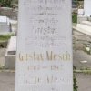 Mesch Gustav 1867-1942 Billes Sofia 1873-1892 Grabstein